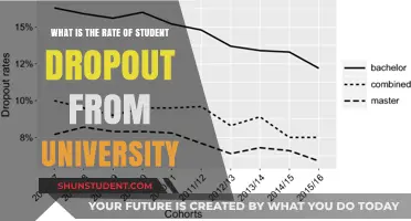 Unraveling the University Dropout Mystery: A Comprehensive Study