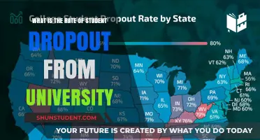 University Dropout Rates: Understanding the Student Exodus