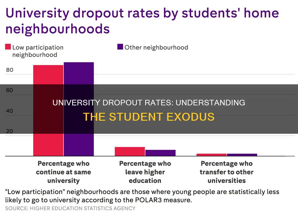 what is the rate of student dropout from university