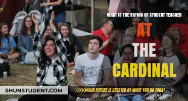 Understanding Student-Teacher Ratios at Cardinal University: A Comprehensive Guide
