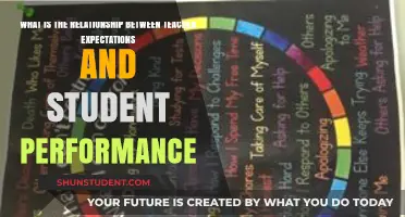 Teacher Expectations: Shaping Student Performance and Academic Outcomes