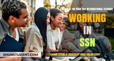 International Student's SSN Work Risk: What's the Danger?