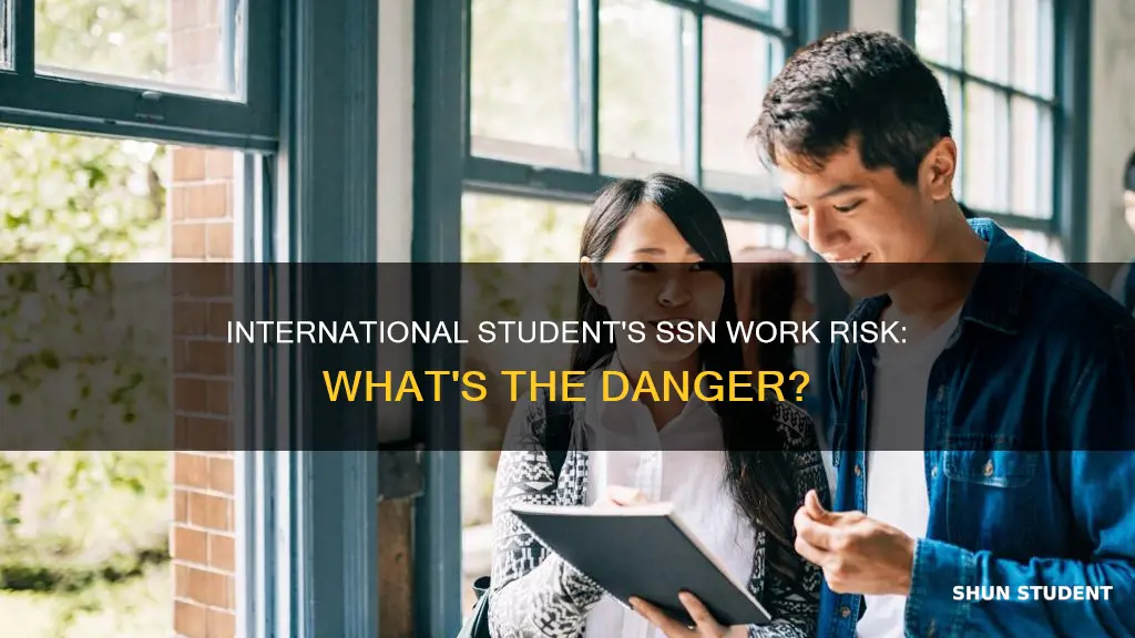 what is the risk for international student working in ssn
