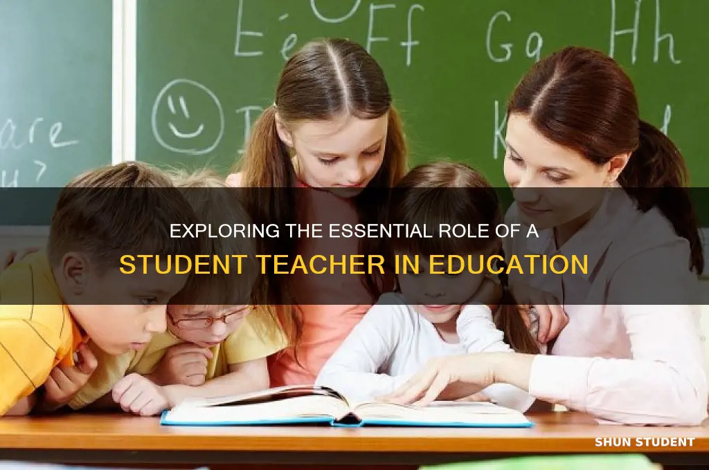 what is the role of a student teacher