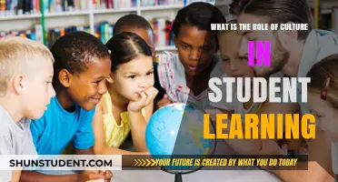 Exploring the Impact of Culture on Student Learning Outcomes