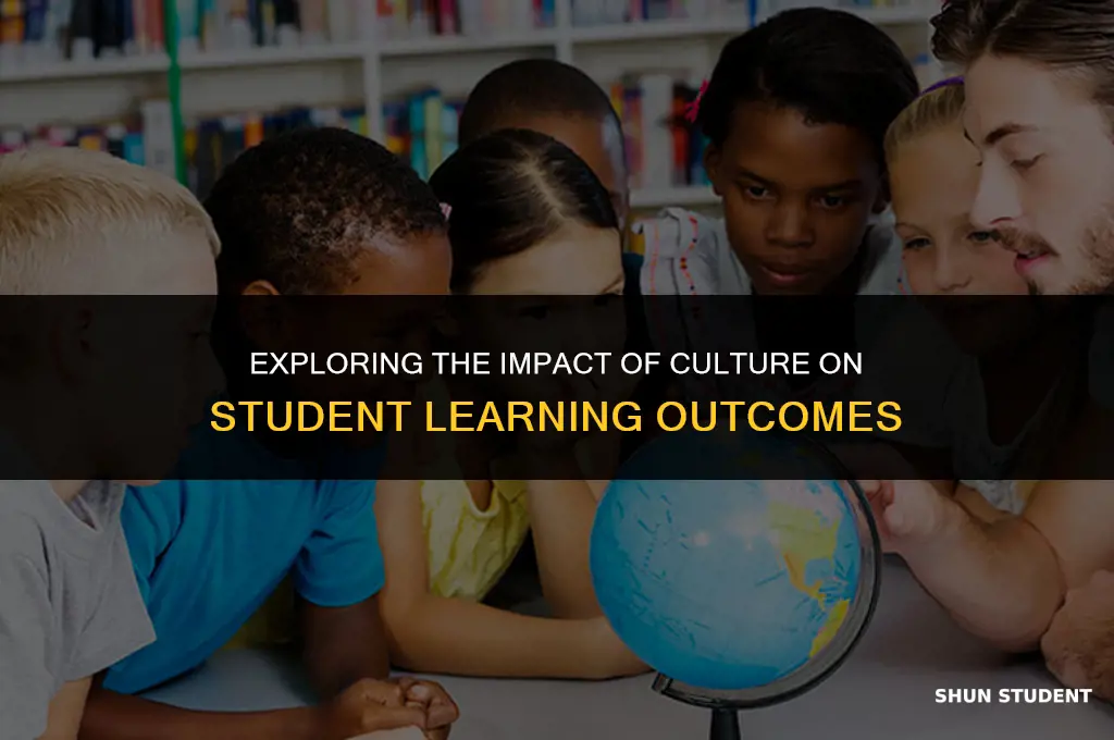 what is the role of culture in student learning