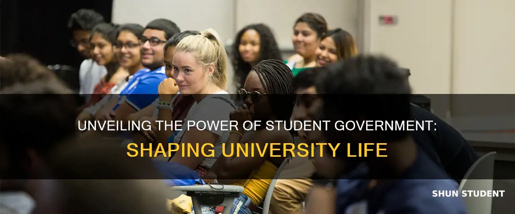 what is the role of student government at a university