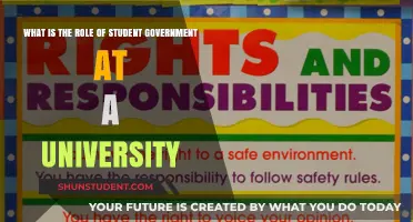 Student Government: Power and Influence on Campus