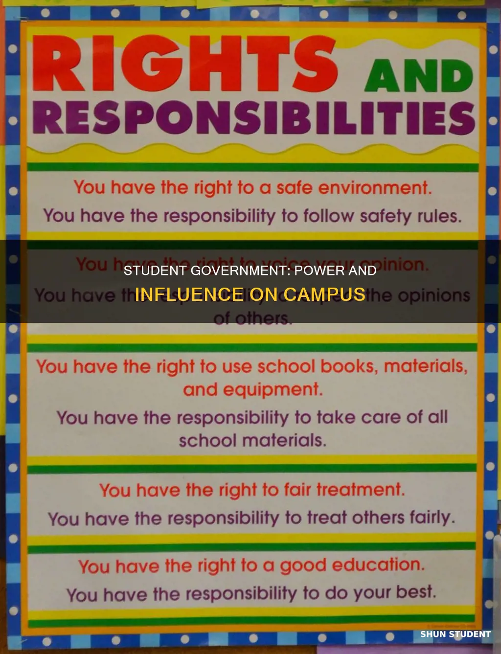 what is the role of student government at a university