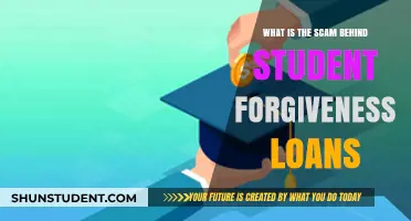 Unveiling the Hidden Scams in Student Loan Forgiveness Programs