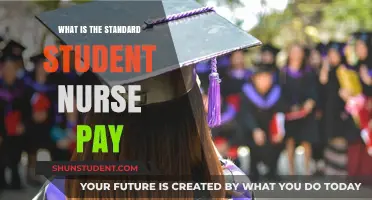 Student Nurse Pay: Standard Rates Explained
