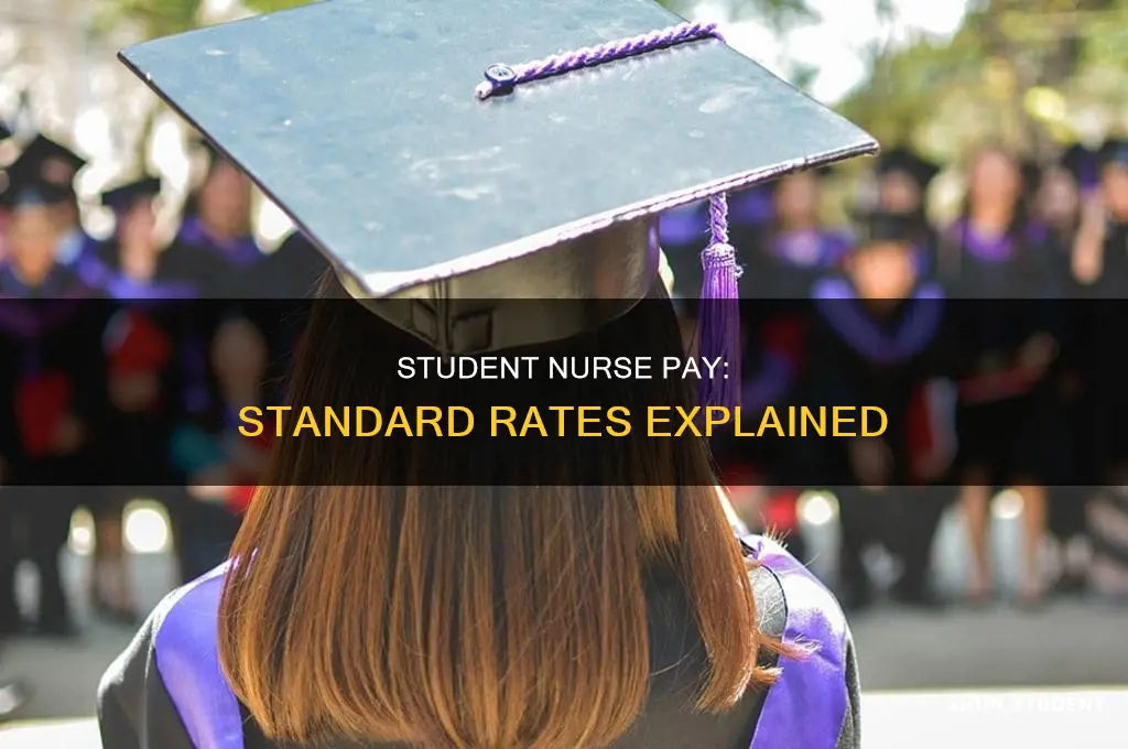 what is the standard student nurse pay