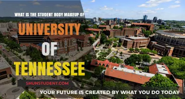 UT's Diverse Student Body: A Snapshot of Tennessee's Top University