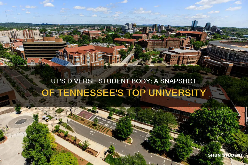 what is the student body makeup of university of tennessee