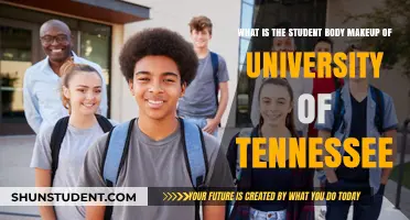 Diversity at University of Tennessee: Student Body Makeup