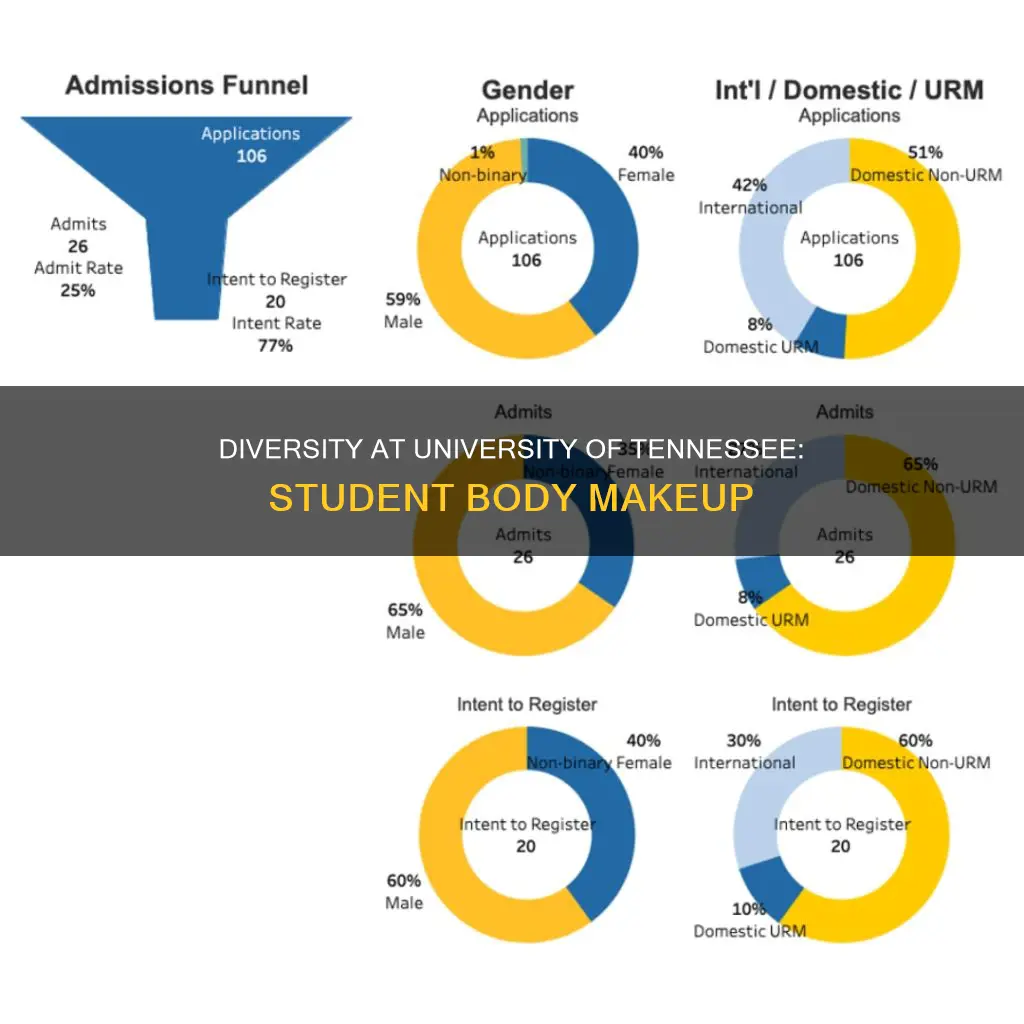 what is the student body makeup of university of tennessee