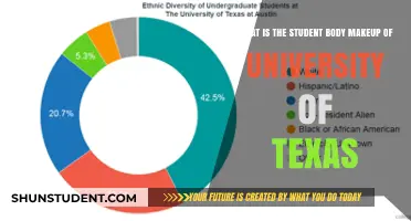 Diversity at University of Texas: Student Body Makeup