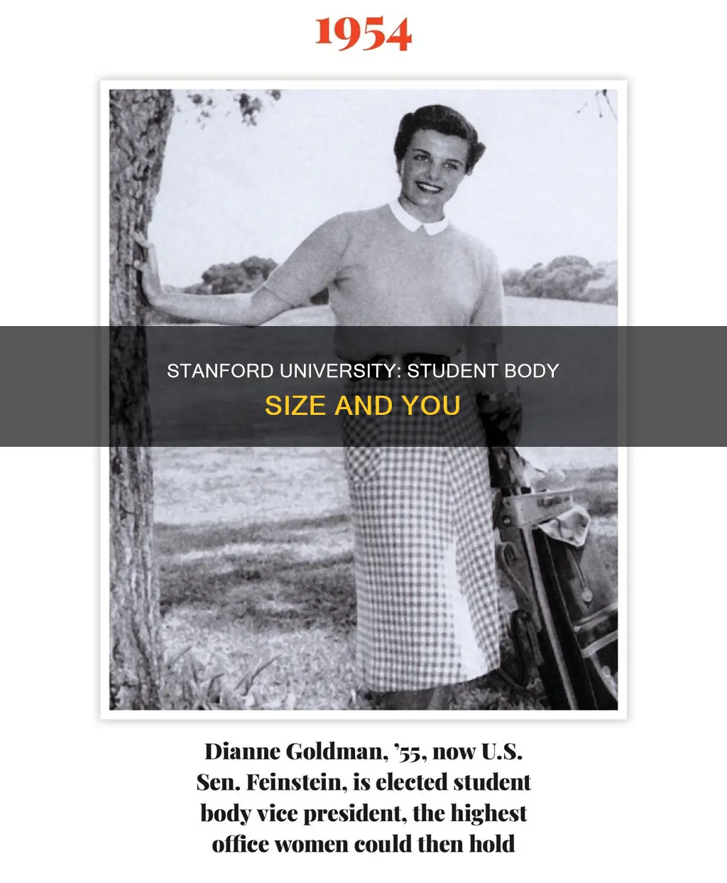 what is the student body size of stanford university