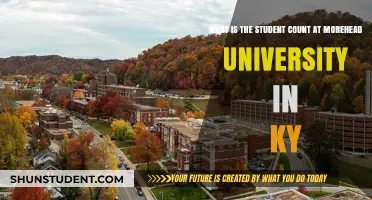 Unveiling Morehead University's Student Population: A Comprehensive Overview