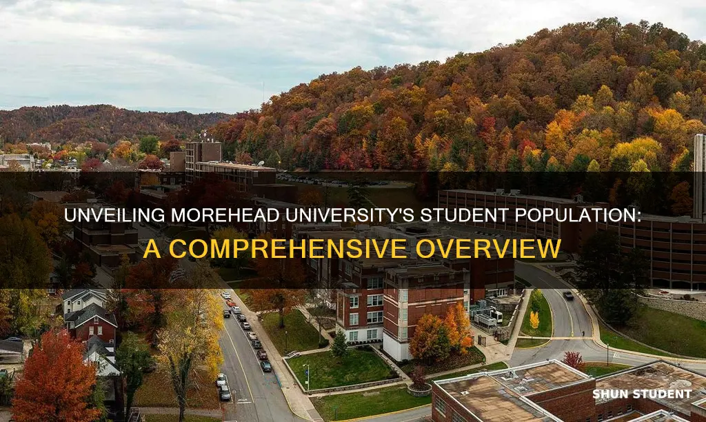 what is the student count at morehead university in ky