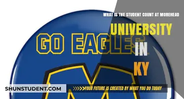 Student Population at Morehead University: A Snapshot