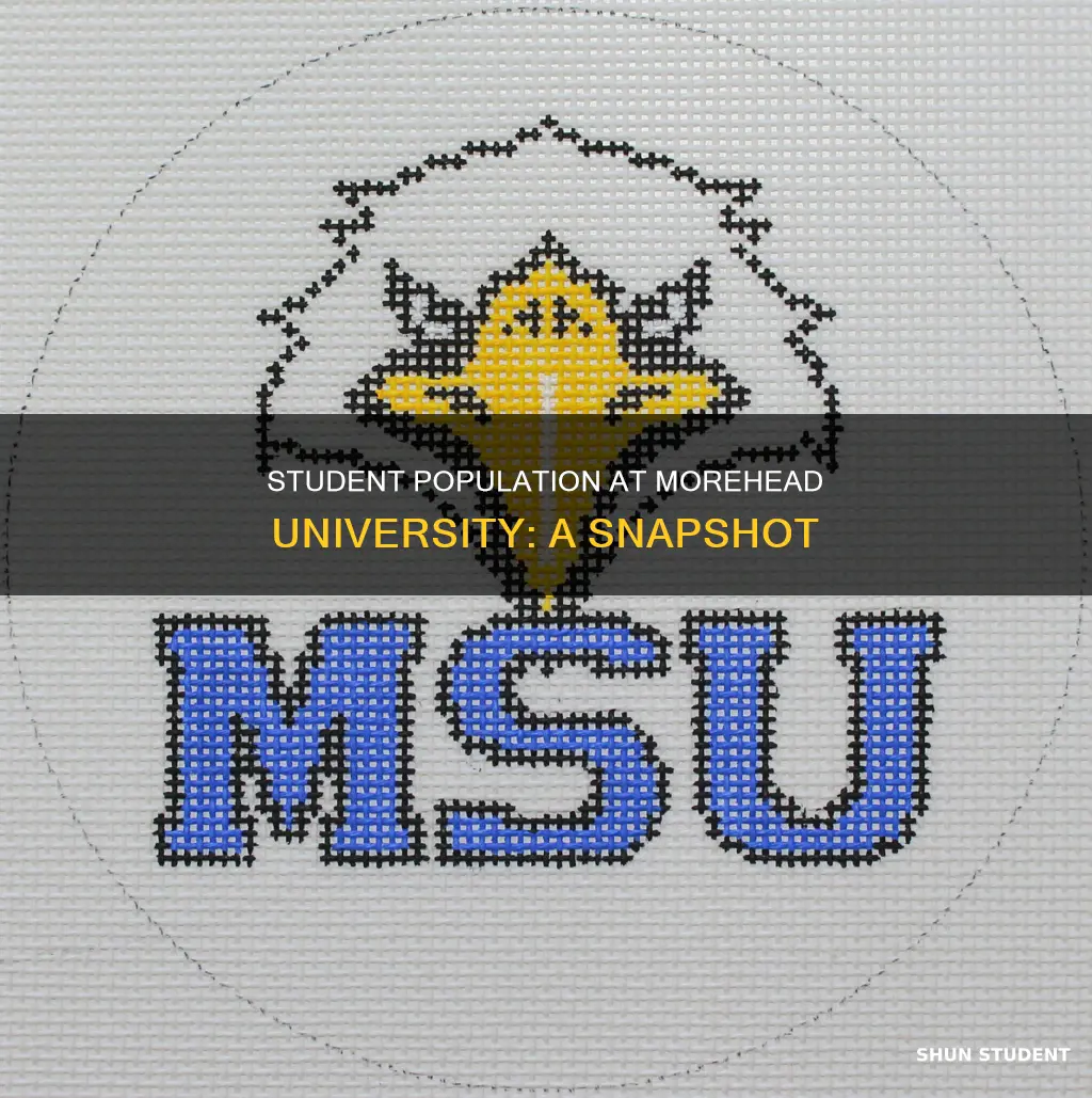 what is the student count at morehead university in ky