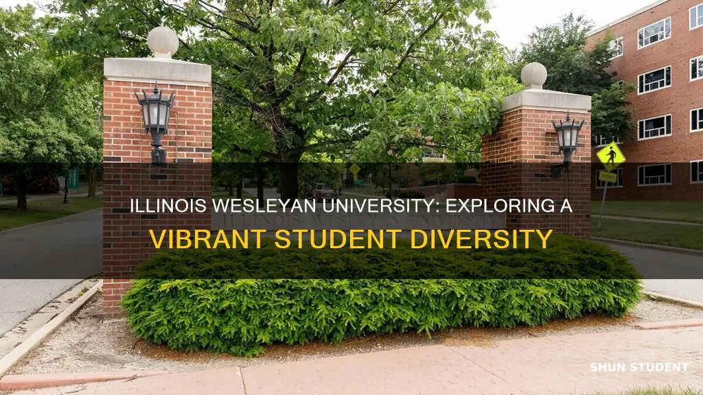 what is the student diversity at illinois wesleyan university