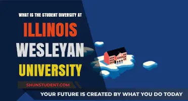 Diversity at Illinois Wesleyan: Student Body Breakdown