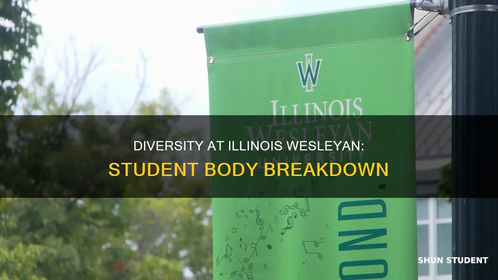 what is the student diversity at illinois wesleyan university