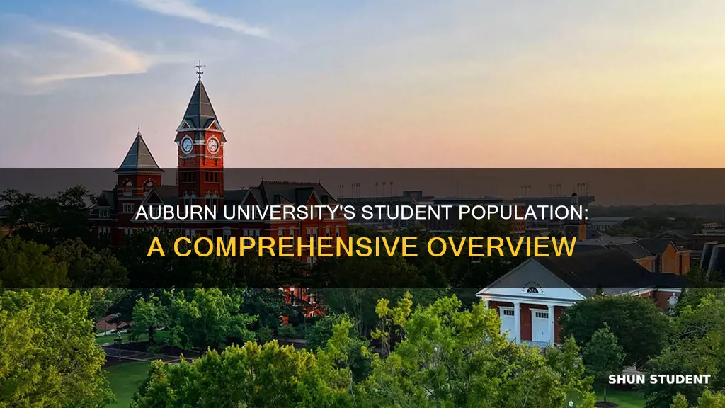 what is the student enrollment at auburn university