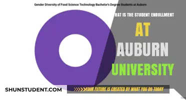 Enrollment Insights: Auburn University Student Numbers