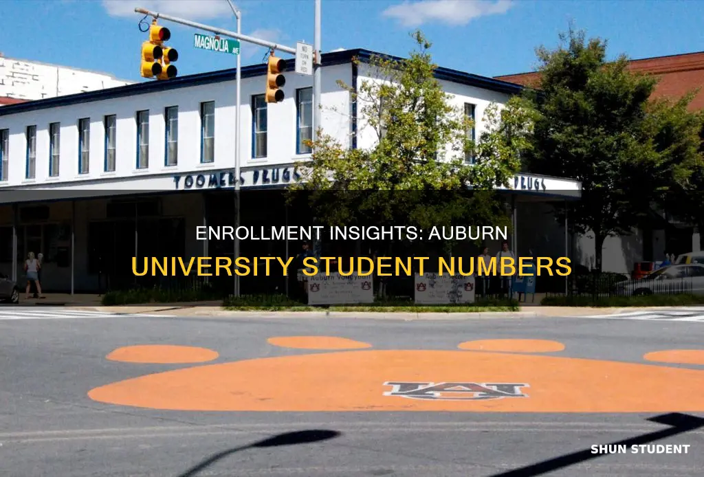 what is the student enrollment at auburn university