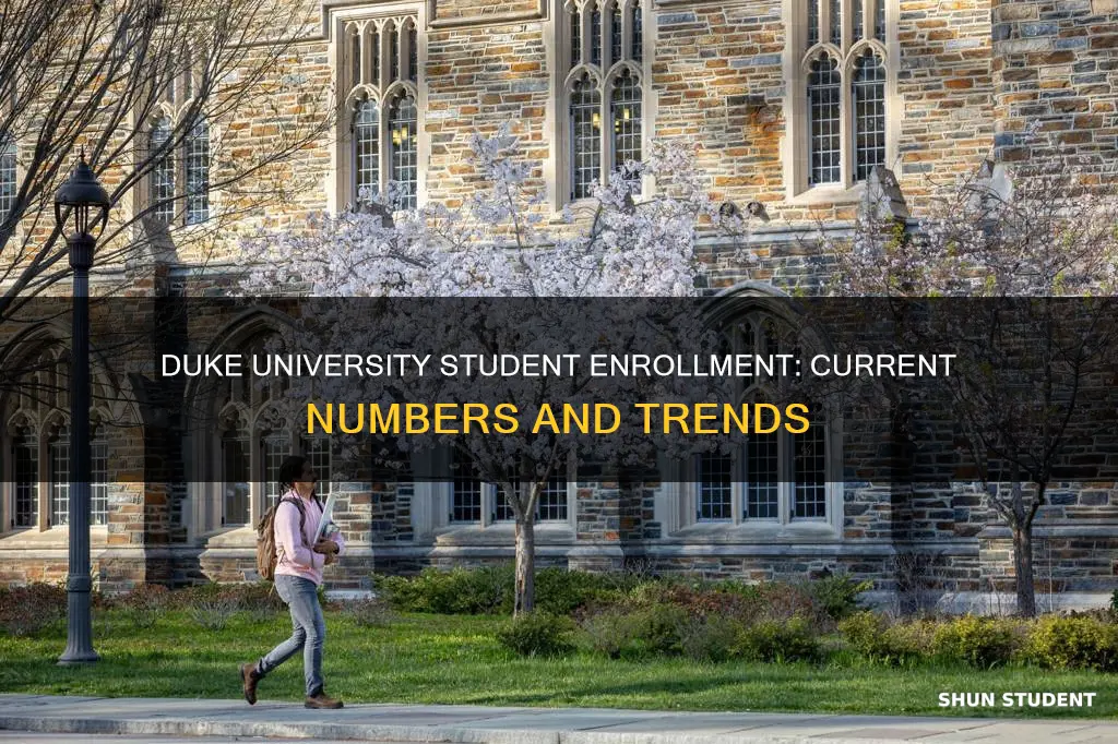 what is the student enrollment at duke university
