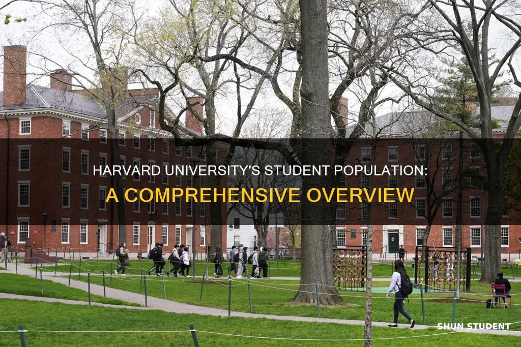 what is the student enrollment at harvard university