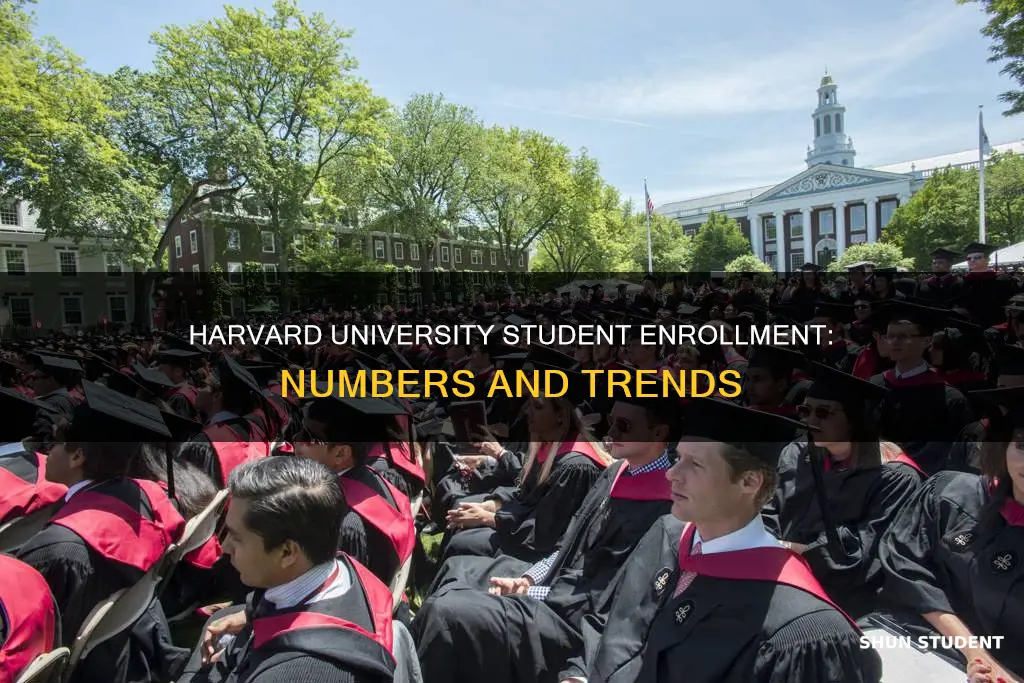 what is the student enrollment at harvard university