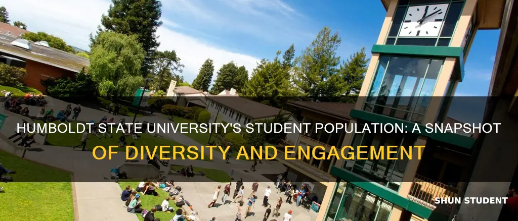 what is the student enrollment at humboldt state university