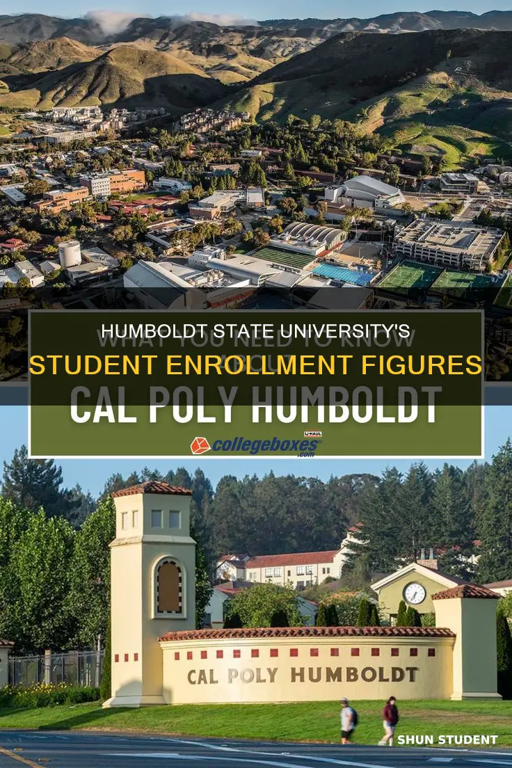what is the student enrollment at humboldt state university