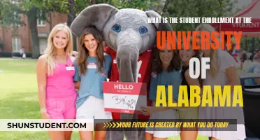 Exploring Student Enrollment at University of Alabama