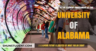 Enrollment Insights: University of Alabama's Student Population
