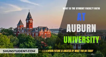 Auburn University's Student-to-Faculty Ratio: Unlocking Academic Excellence