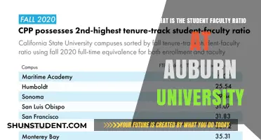 Auburn University's Student-Faculty Ratio: An Intimate Learning Environment