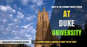 Duke University's Student-Faculty Ratio: An Intimate Learning Environment
