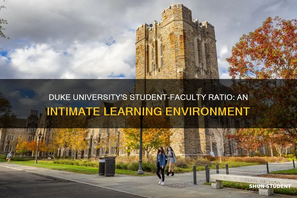 what is the student faculty ratio at duke university