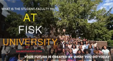 Fisk University's Student-Faculty Ratio: A Closer Look at Class Sizes