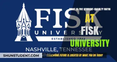 Understanding Student-Faculty Ratio at Fisk University