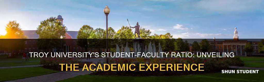 what is the student faculty ratio at troy university