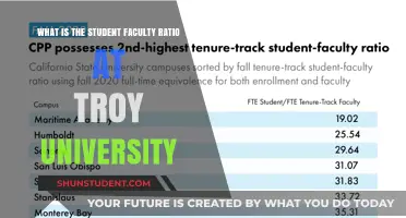 Troy University's Student-Faculty Ratio: An Intimate Learning Environment
