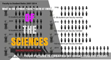 Faculty-Student Ratio: University of the Sciences' Advantage
