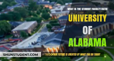 Unveiling the Student-Faculty Ratio at the University of Alabama