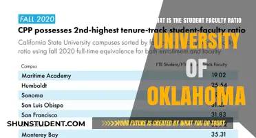 Student-Faculty Ratio: University of Oklahoma's Advantage